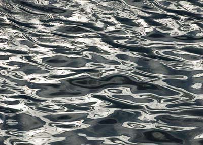 ����̿̎������?g��u)UҺ